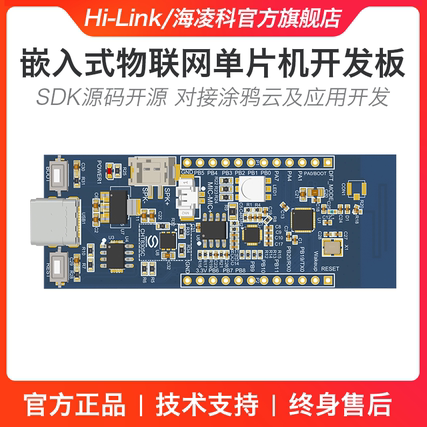 W800开发板 物联网通讯单片机开发核心板 MCU系统板语音识别芯片